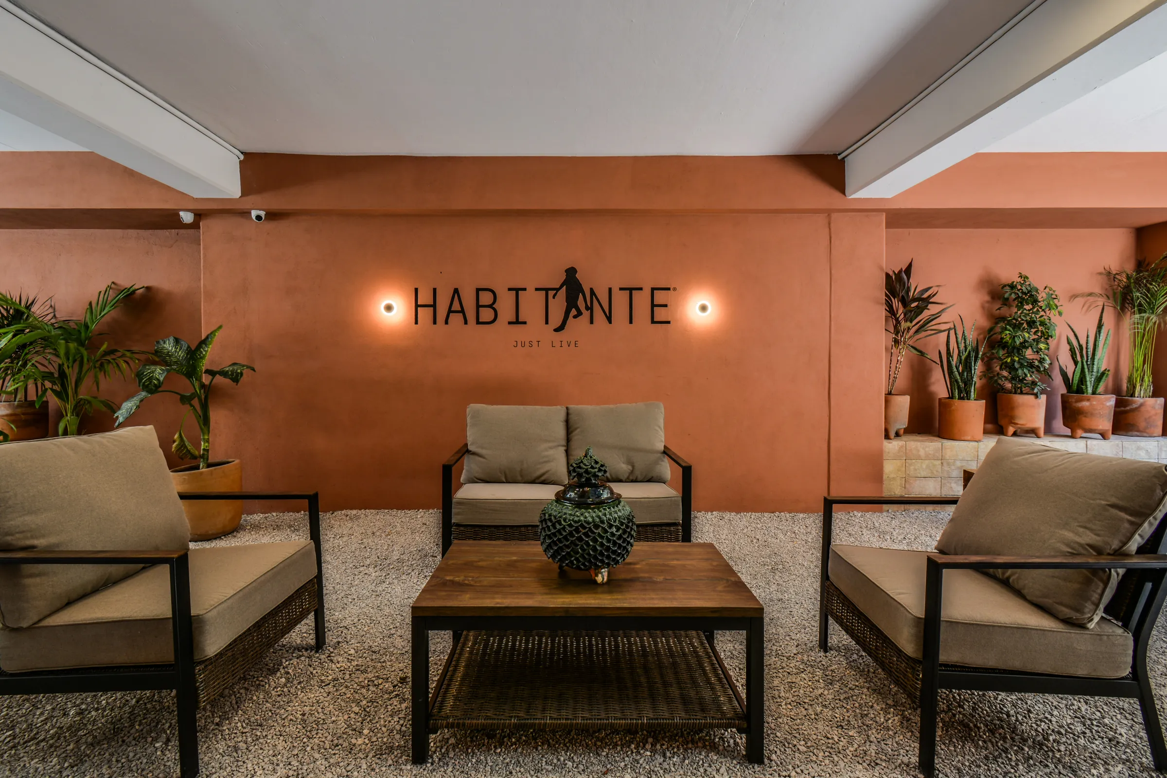Jardín y áreas comunes de coliving Habitante Condesa, Escandón CDMX